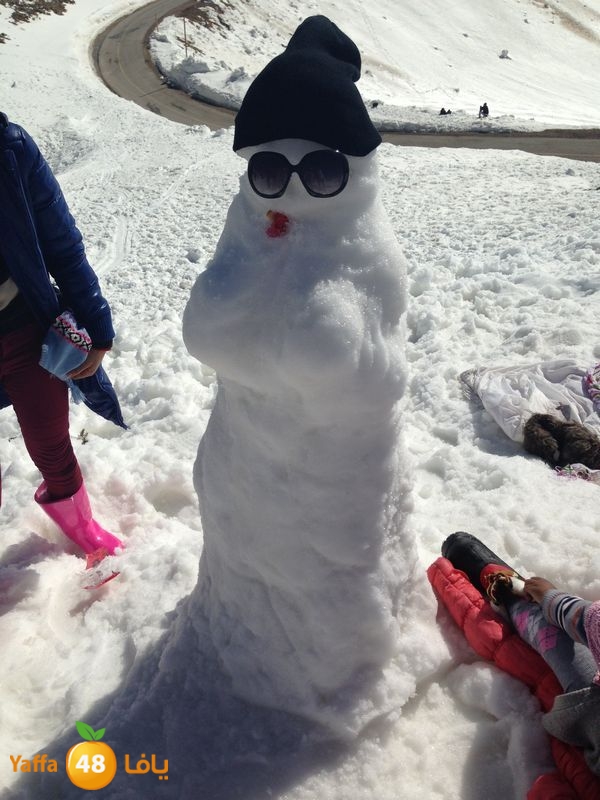 jabalelskheikhlud (22).JPG